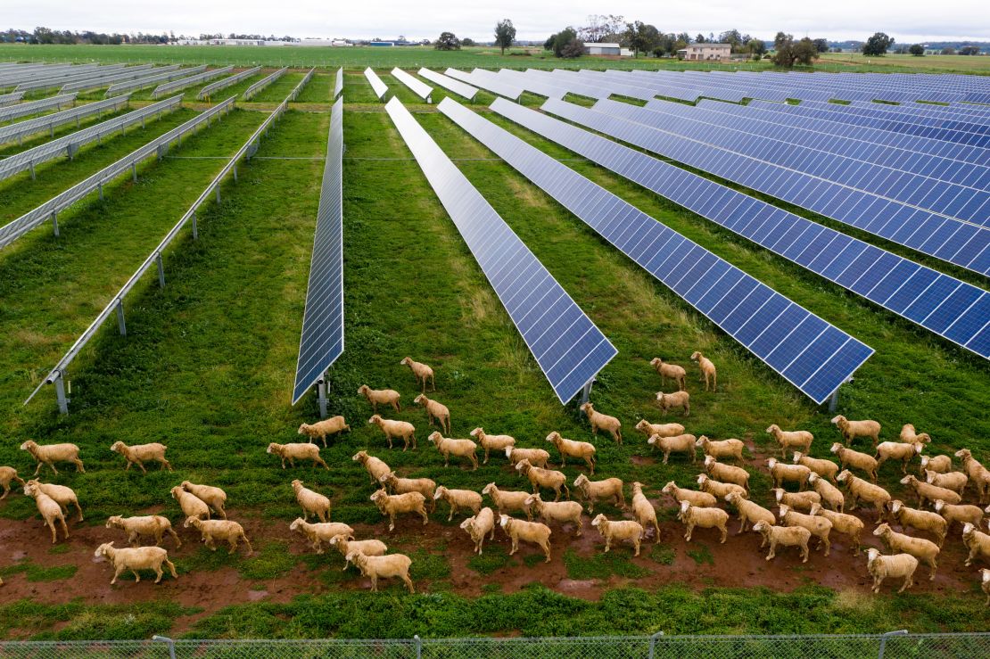 A 55-hectare array of solar panels on a farm near Dubbo in New South Wales.