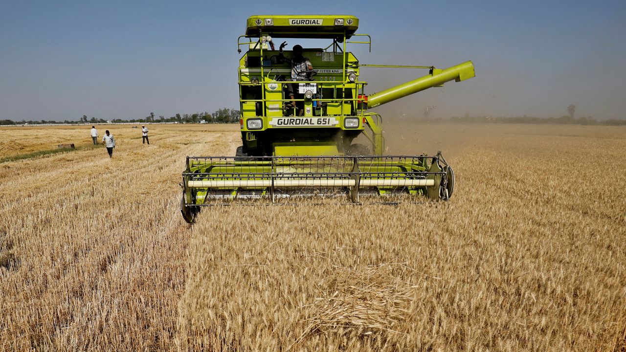 A combine harvests wheat at a field on the outskirts of Ahmedabad, India. REUTERS/Amit Dave