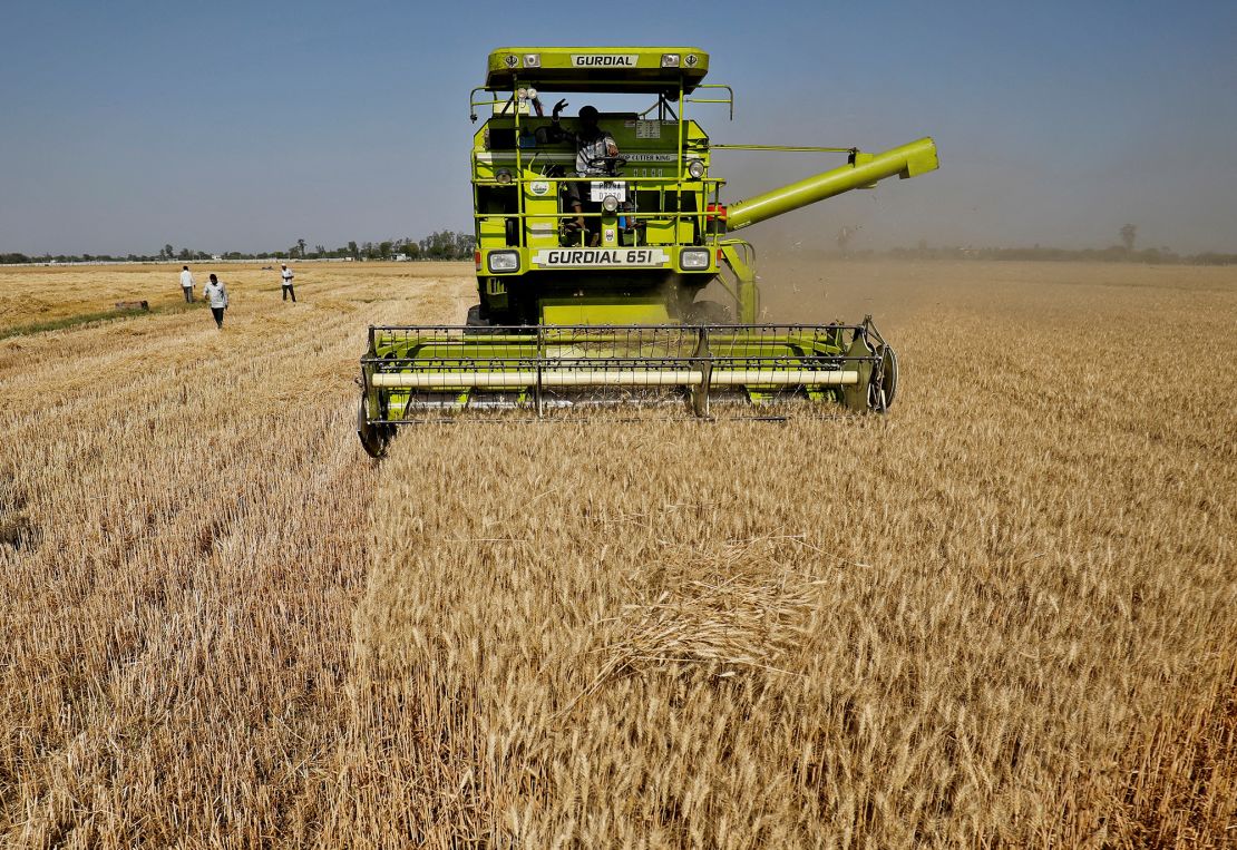 A combine harvests wheat at a field on the outskirts of Ahmedabad, India. REUTERS/Amit Dave