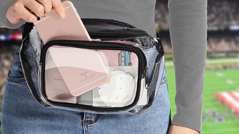 Veckle Clear Fanny Pack