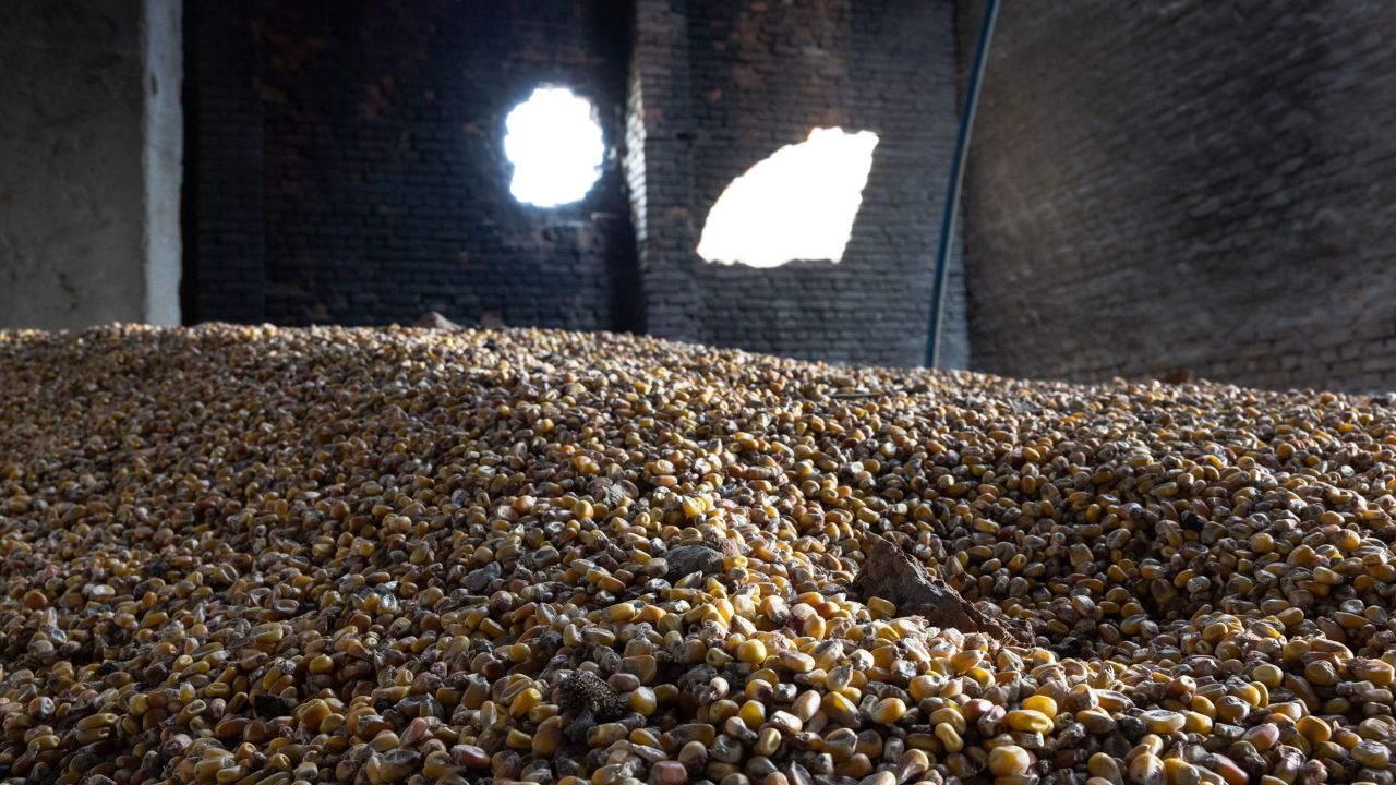 Corn lies scattered in a grain warehouse damaged by Russian tanks on May 14, 2022 in Cherkska Lozova, Ukraine. 