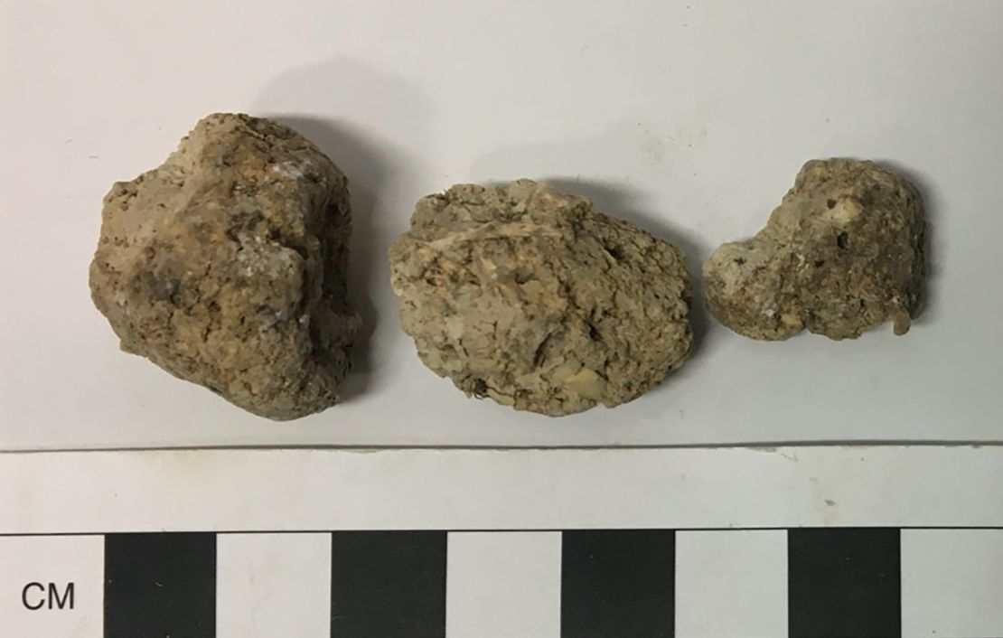 Ancient human poop was unearthed from Durrington Walls, a prehistoric village near Stonhenge. 