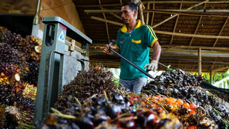 Food price relief? Indonesia lifts palm oil export ban