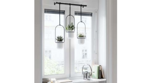 Umbra Triflora Hanging Planter