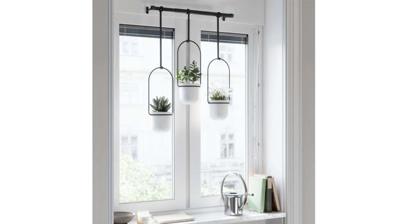 Amazon Umbra Triflora Hanging Planter