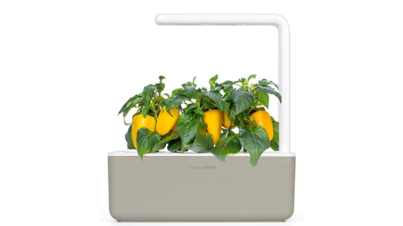 Nordstrom Click & Grow Self Watering Garden
