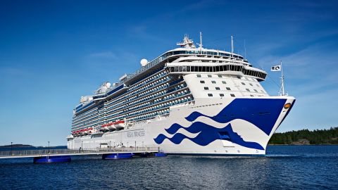 "The Real Love Boat ," a reality dating competition series inspired by show, will be filmed on the Regal Princess.