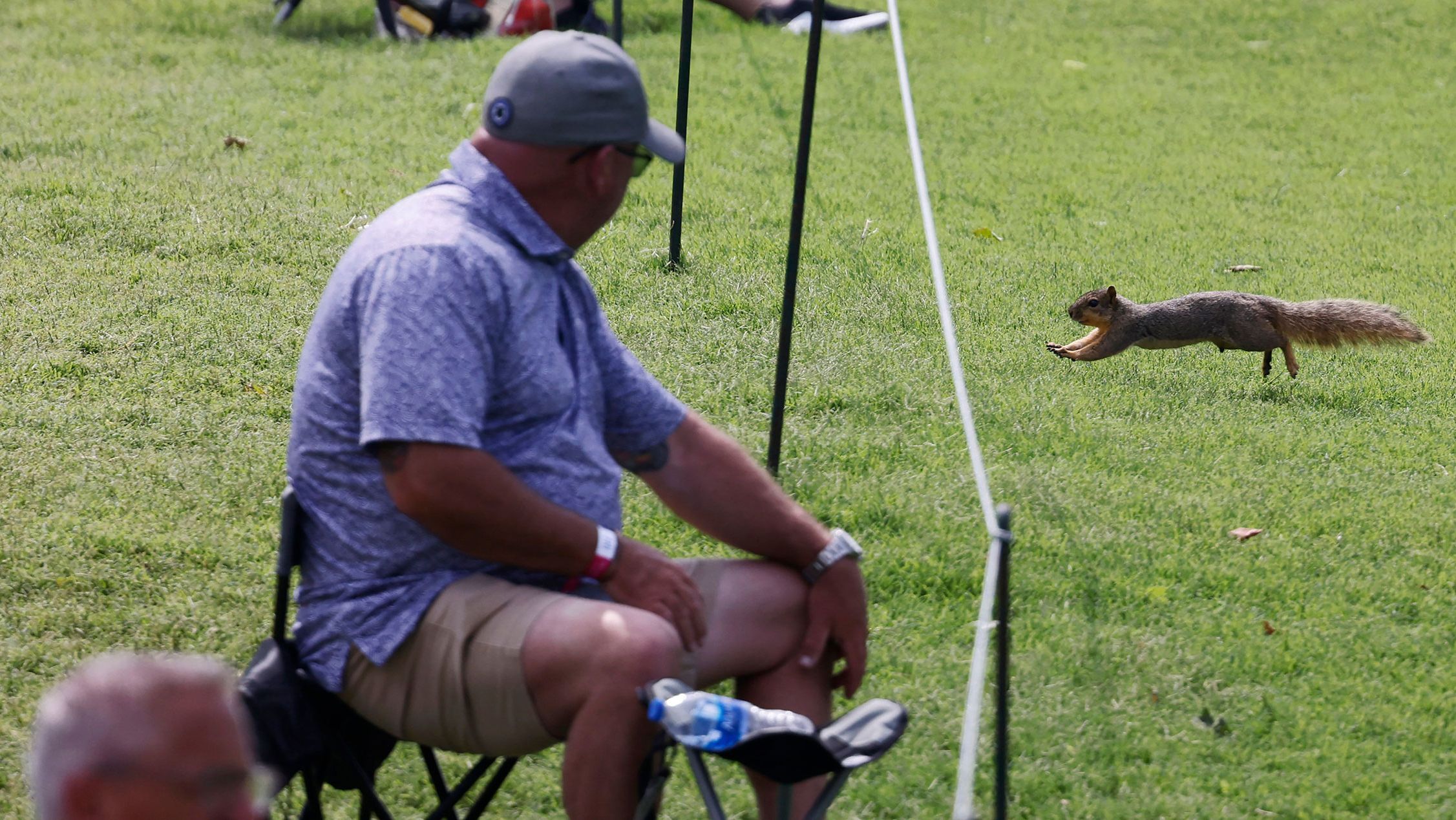 A squirrel runs across the fairway on the 16th hole during the second round.