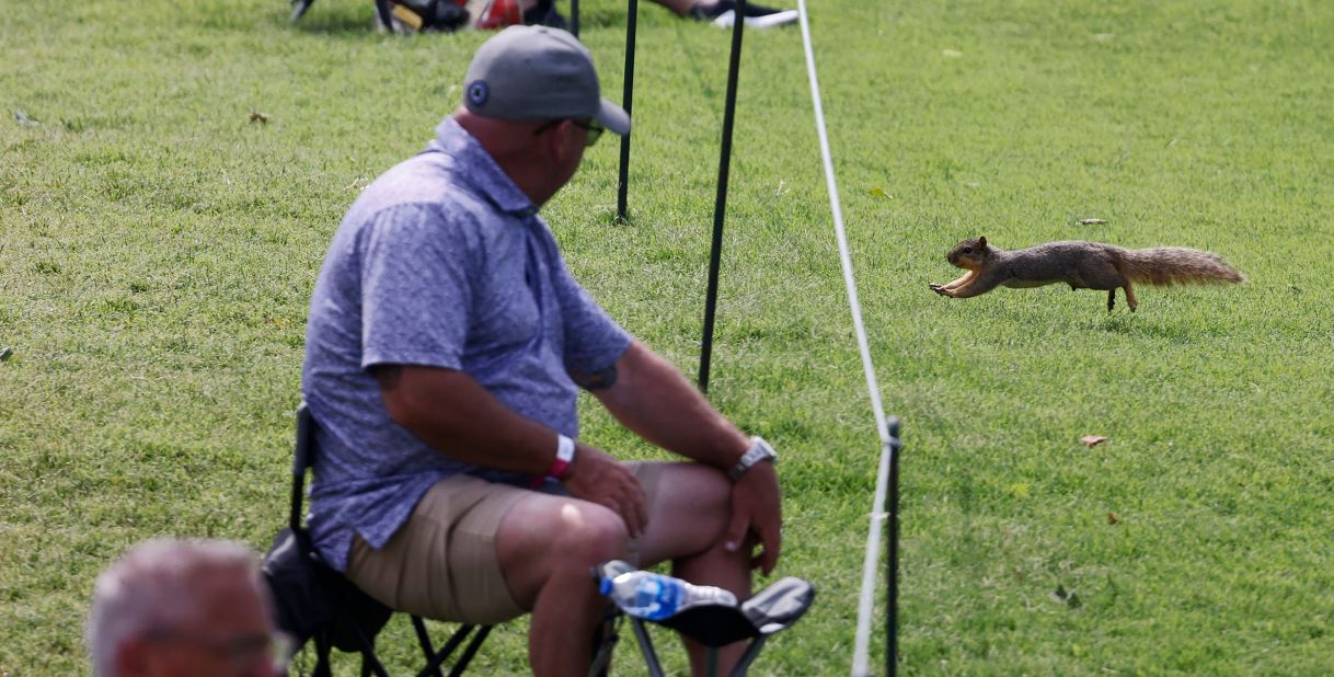 A squirrel runs across the fairway on the 16th hole during the second round.