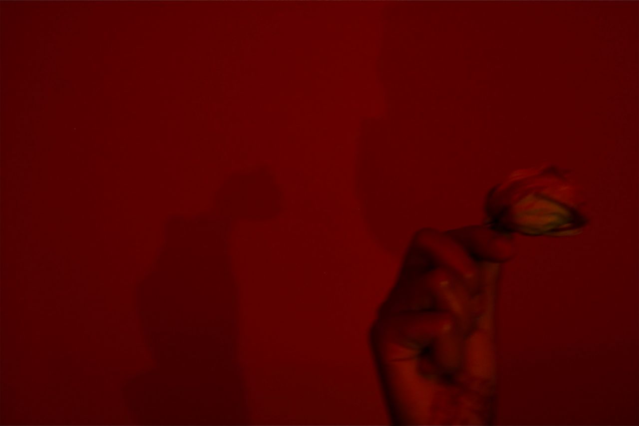 "Me, myself and I" by Huda Hagi (2021). In the picture, a girl holds a flower up and the only other thing shown is her shadow, tracing a parallel with the sense of isolation felt by many during the pandemic.