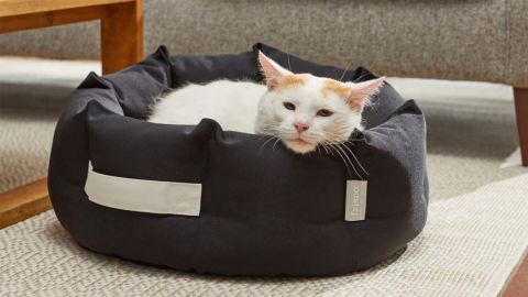 Frisco Indoor/Outdoor Deep Dish Cuddler Bolster Cat and Dog Bed