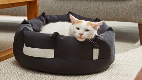 Frisco Indoor/Outdoor Deep Dish Cuddler Bolster Cat & Dog Bed