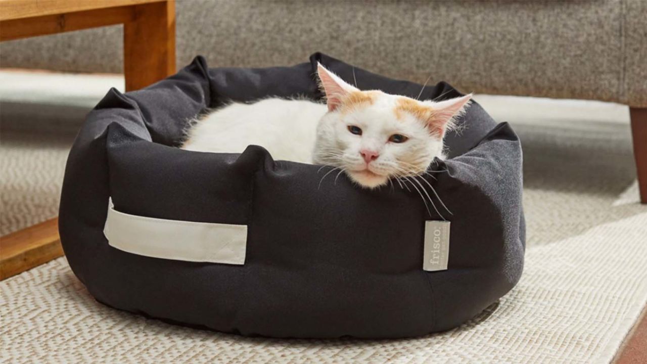 Frisco Indoor/Outdoor Deep Dish Cuddler Bolster Cat & Dog Bed