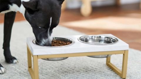 Frisco Marble Print Stainless Steel Double Elevated Dog Bowl