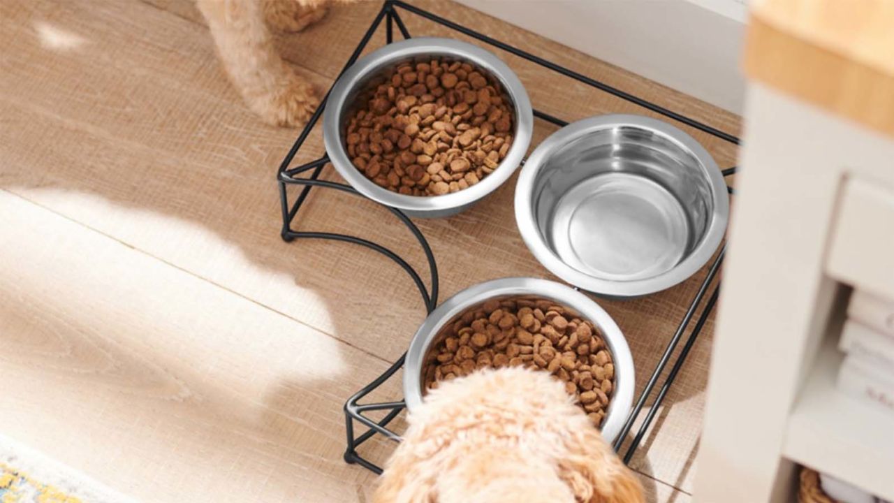 Frisco Straight Triple Corner Feeder Dog & Cat Stainless Steel Bowl