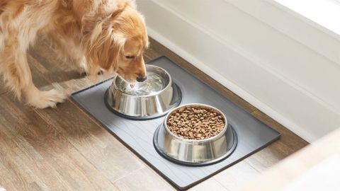 Frisco Silicone Dog & Cat Food Mat