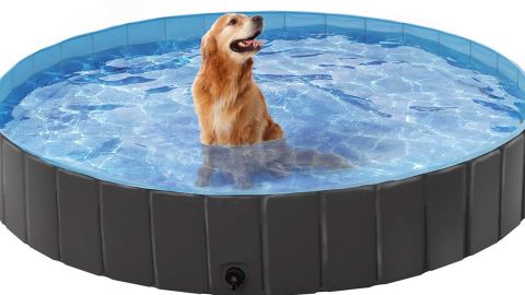 Yaheetech Outdoor Collapsible Hard Plastic Pool for Dogs and Cats