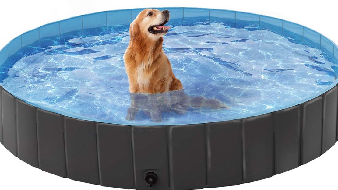 https://media.cnn.com/api/v1/images/stellar/prod/220523172203-plastic-dog-swimming-pool.jpg?q=w_1110,c_fill