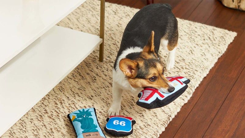 Chewy Memorial Day Sale Up to 30 off pet supplies CNN Underscored