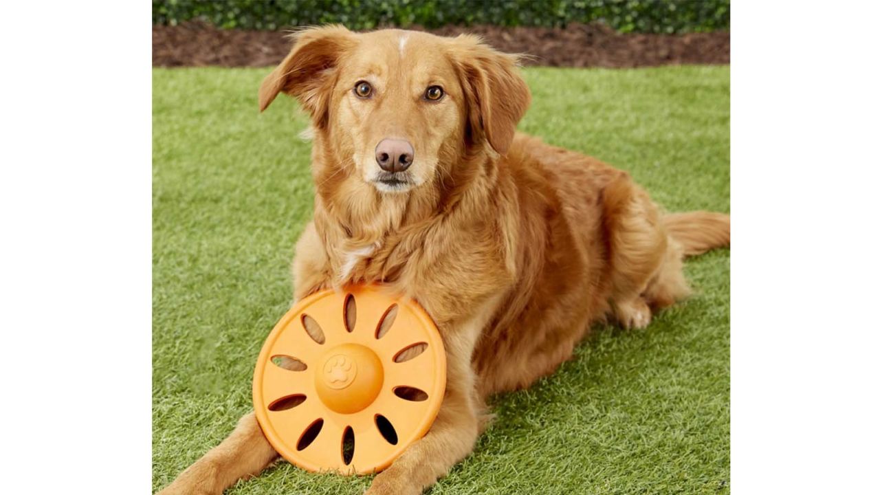 JW Pet Whirlwheel Flying Disk Dog Toy