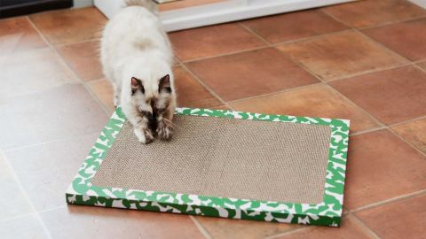 Frisco Notebook Cat Scratcher Toy with Catnip