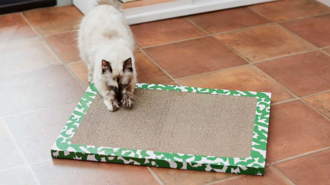 Frisco Notebook Cat Scratcher Toy with Catnip