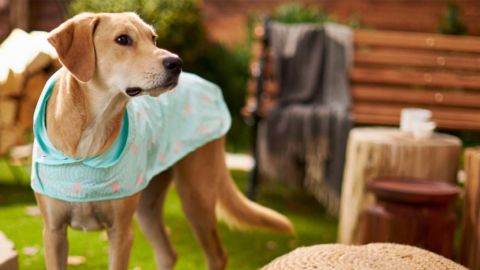 Frisco Flamingo Dog Raincoat