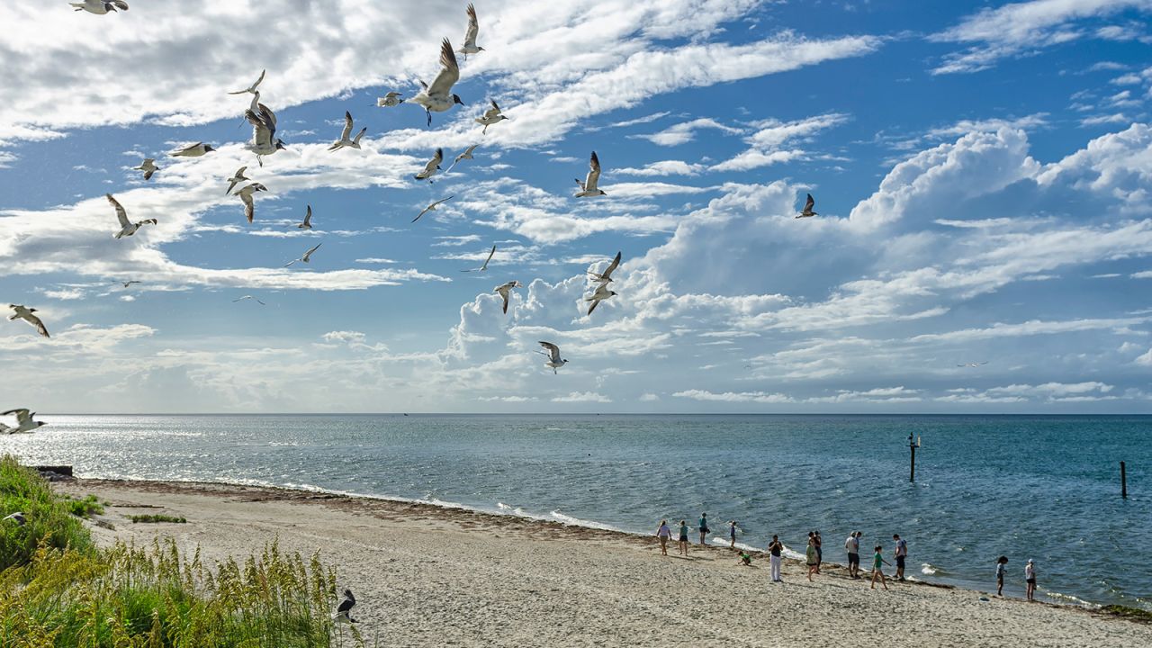 Ocracoke Island in North Carolina's Outer Banks is decidedly unfussy.