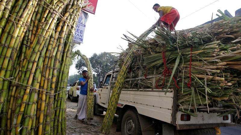Износът на захар от Индия: Най-големият производител в света, налагащ ограничения