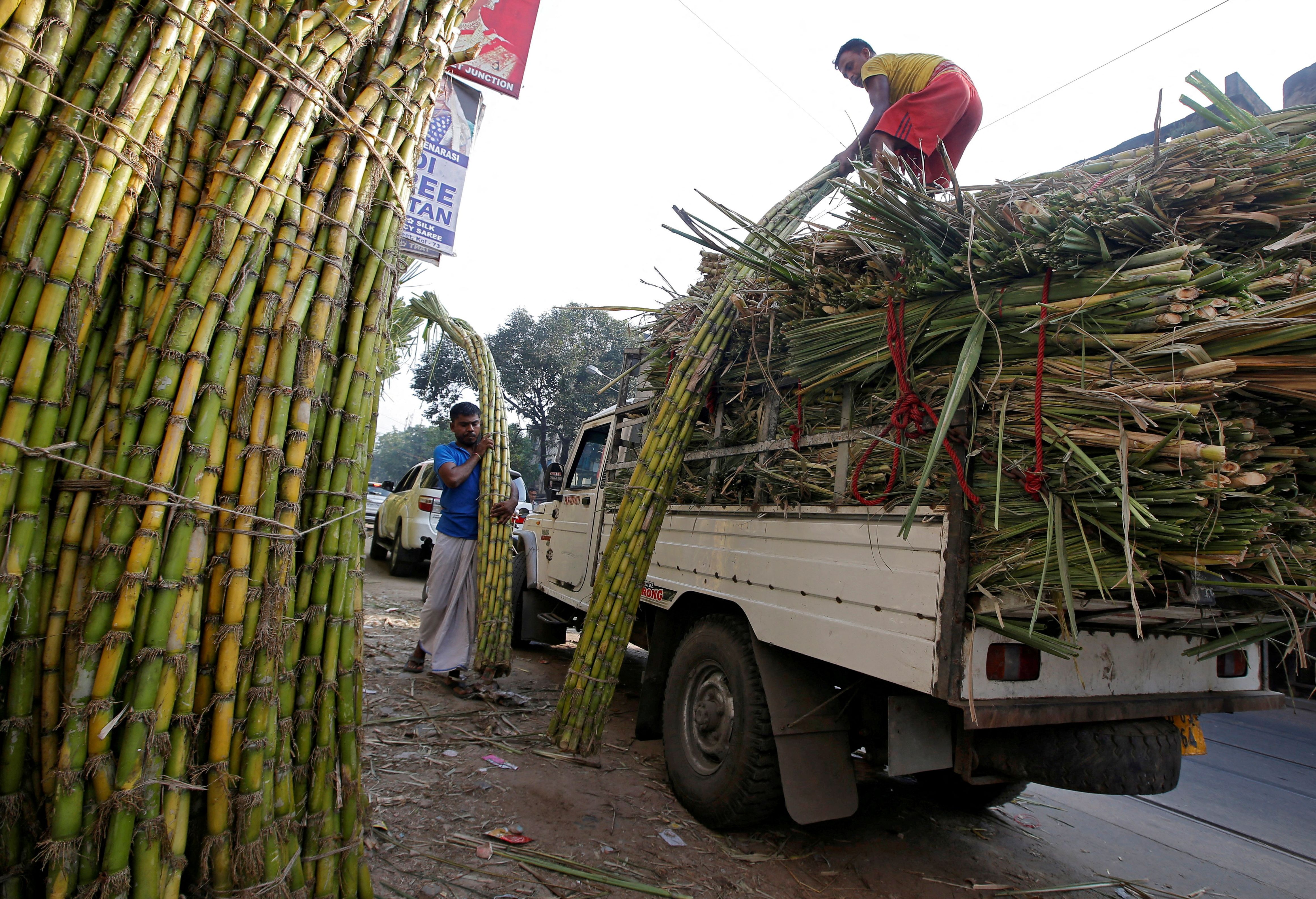 India extends curbs on sugar exports to calm domestic prices