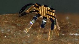 The world's smallest remote-controlled robot uses lasers to move. 