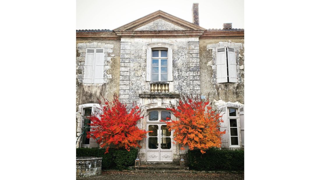 My Faux French Chateau: Bringing a Touch of France Home - Mariage Frères -  Maison de Thé