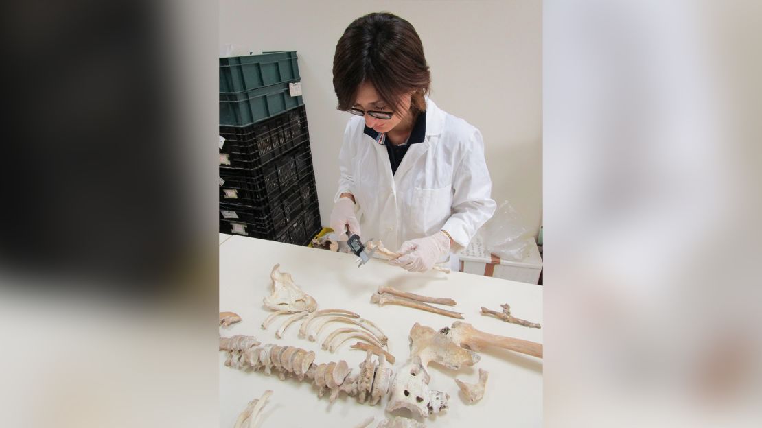 Serena Viva, a postdoctoral research fellow at the University of Salento and a lead author on the study, conducts a preliminary anthropological study of the male skeleton.