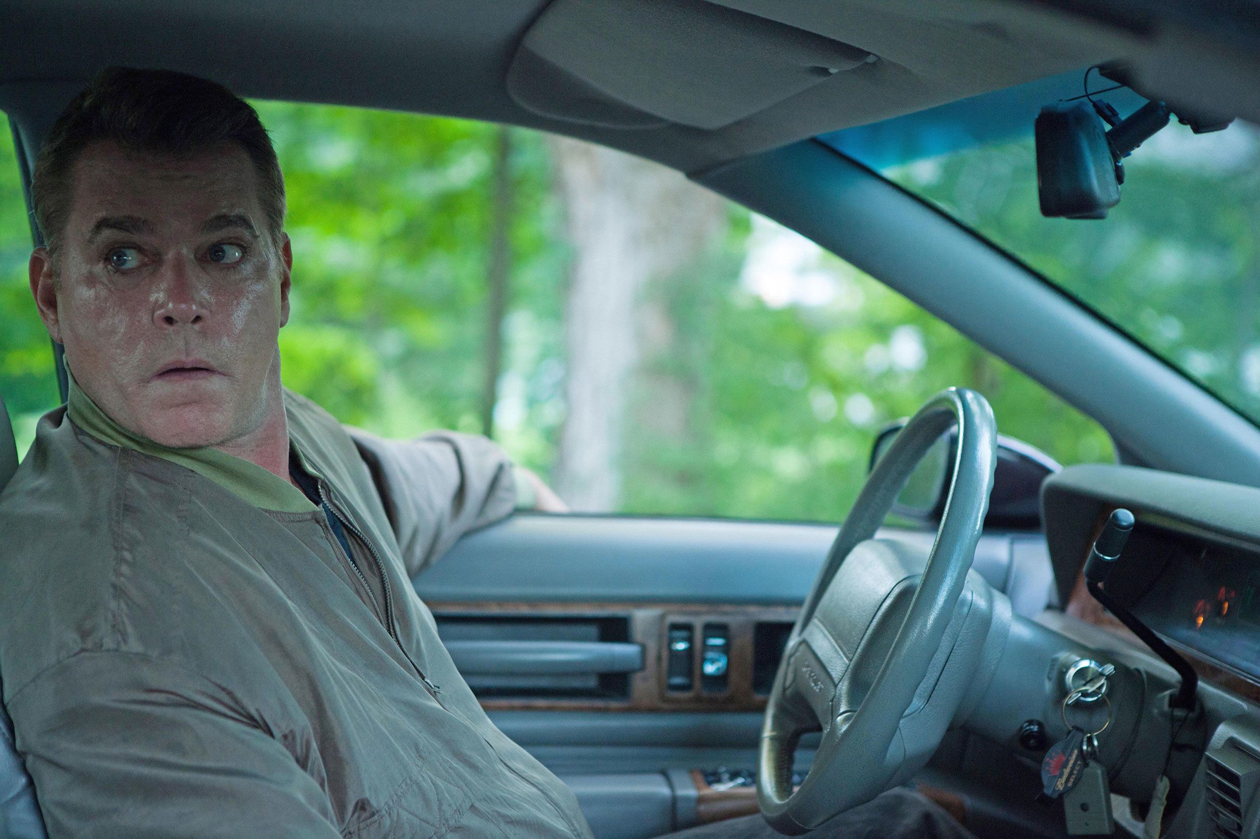 Liotta in 'The Place Beyond The Pines' (2012).