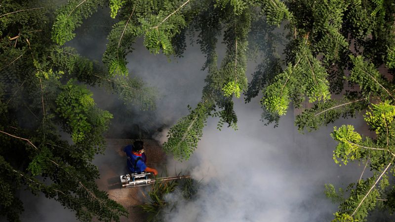 Singapore’s dengue “emergency” heralds global climate change