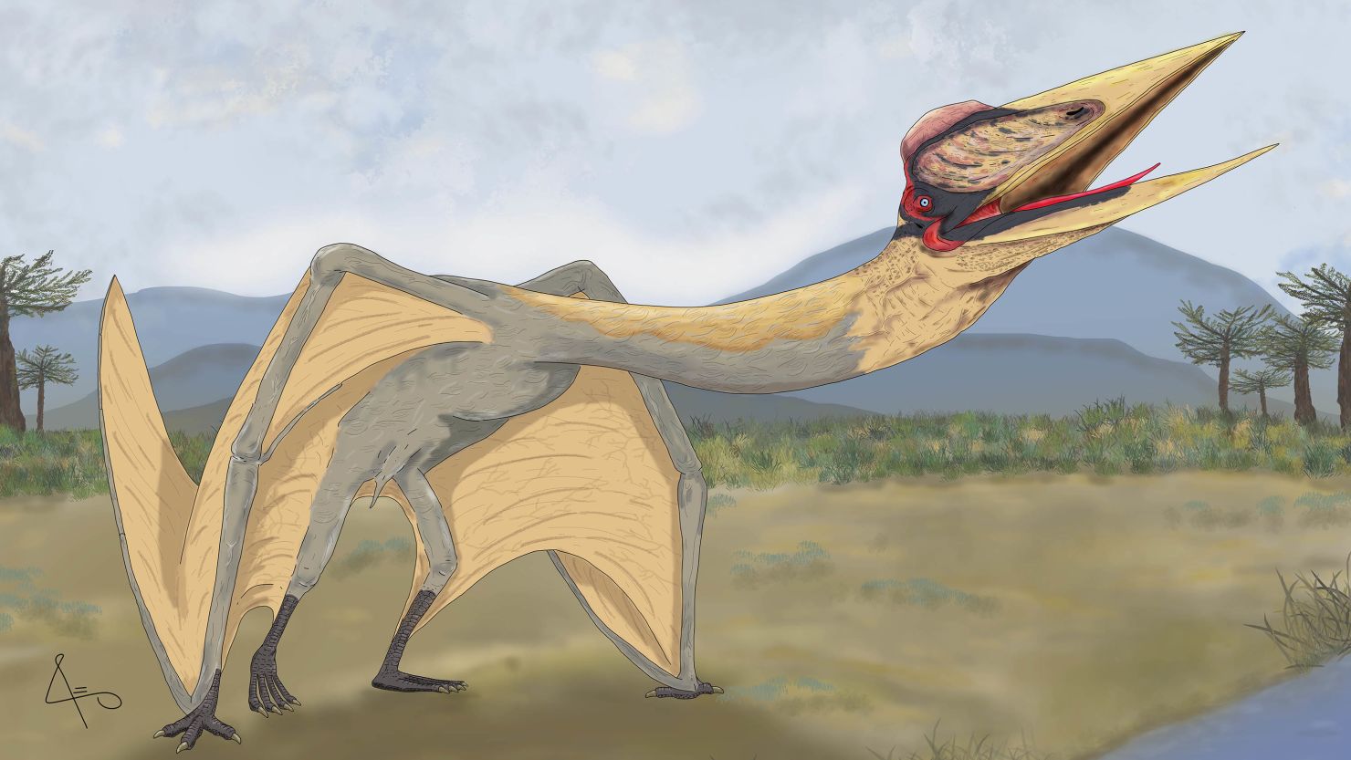 Scientists unearthed the largest pterosaur ever found in South America.