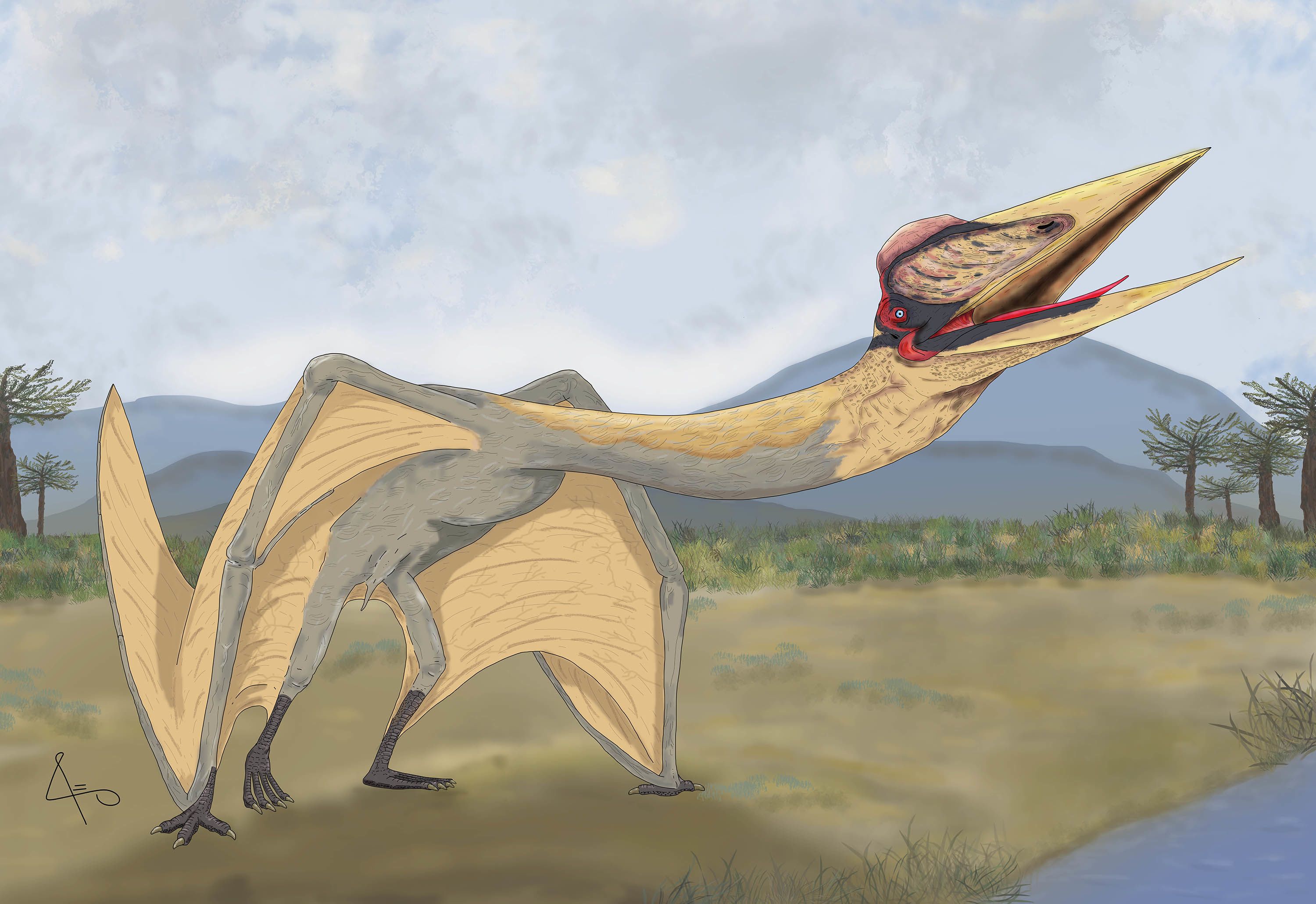 Pteranodon was a giant flying reptile which lived during