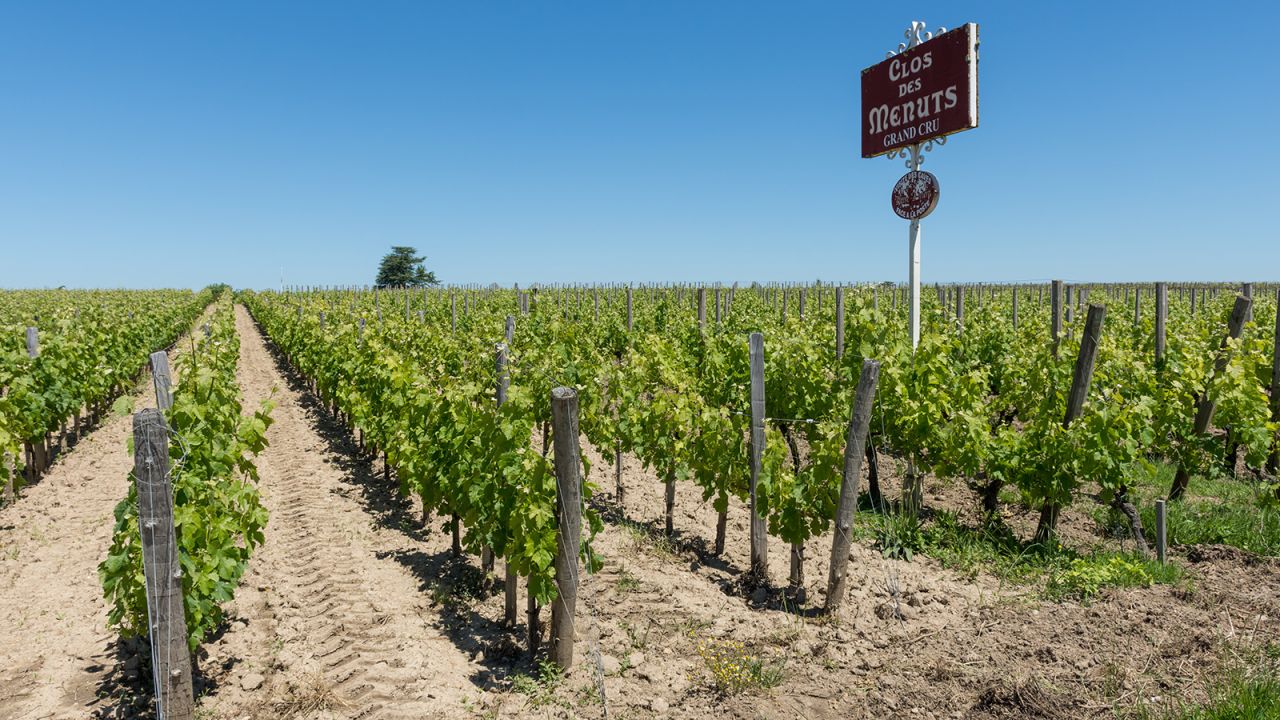 <strong>France:</strong> Wine country in France, with Saint-Émilion near Bordeaux seen here, is a big draw year-round. The Bordeaux Wine Festival is happening in June.
