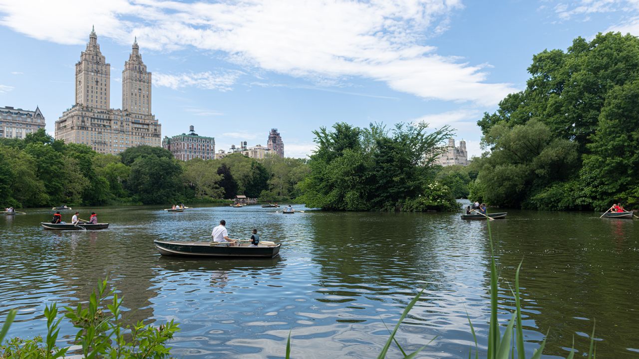 New York's Central Park is always a peaceful spot in the city. New hotels are opening as travelers return.