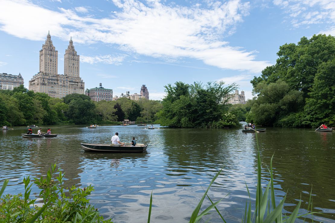 New York's Central Park is always a peaceful spot in the city. New hotels are opening as travelers return.