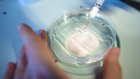 22 May 2018, Germany, Berlin: A researcher performs a CRISPR/Cas9 process at the Max-Delbrueck-Centre for Molecular Medicine. 