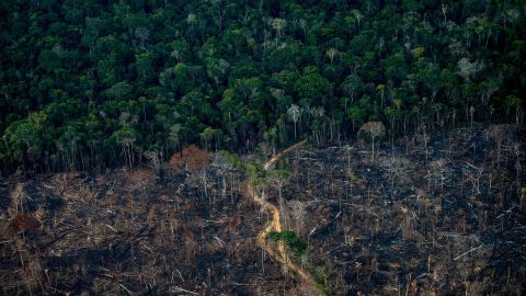 A deforested section of the Amazon rainforest is seen in Labrea, Amazonas state, Brazil in September 2021.