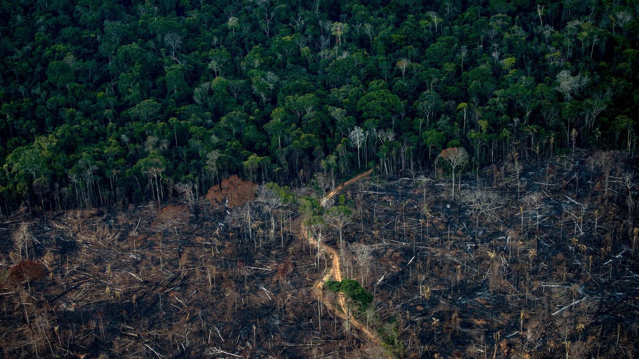 A deforested section of the Amazon rainforest is seen in Labrea, Amazonas state, Brazil in September 2021.