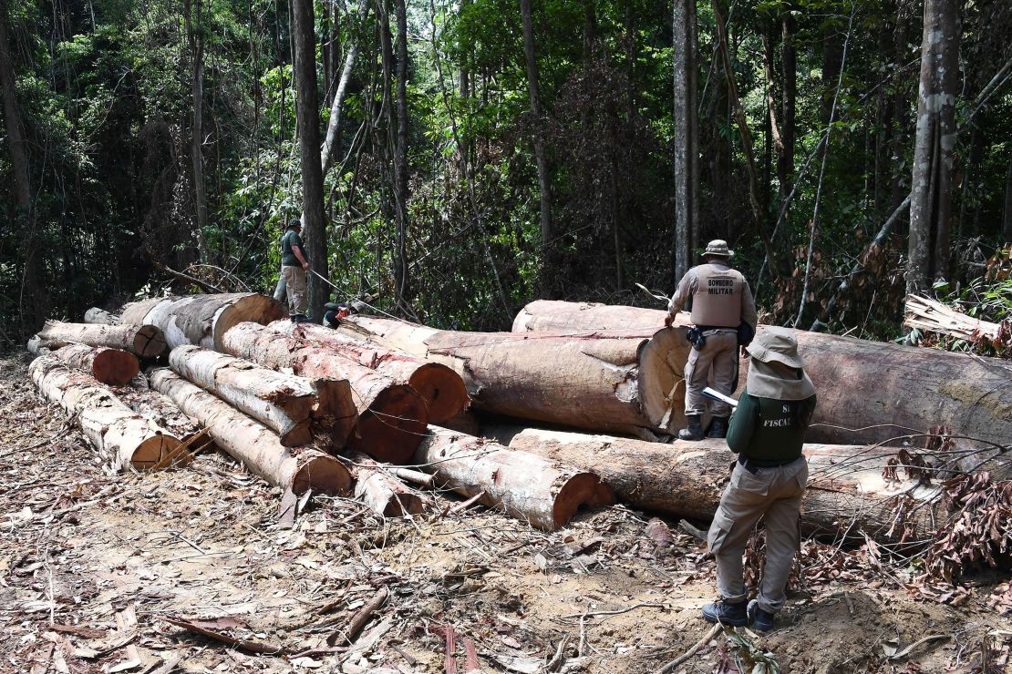 Officials from Brazil's northern Para State, inspect a deforested area in September. 