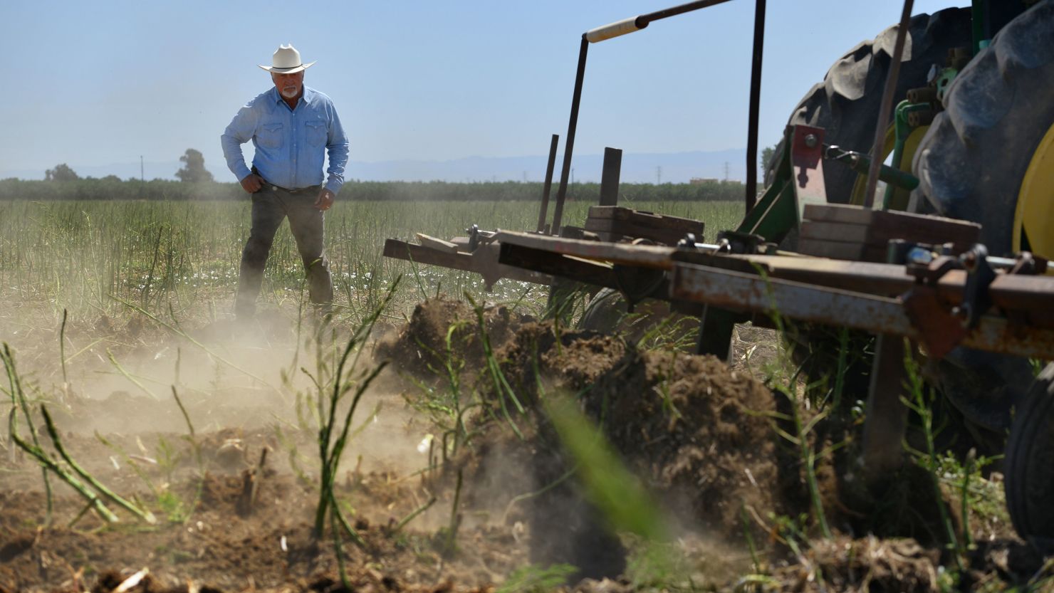 Farmer Joe Del Bosque watches as a tractor driven by his employee destroys a 70-acre organic asparagus field in Firebaugh, California.