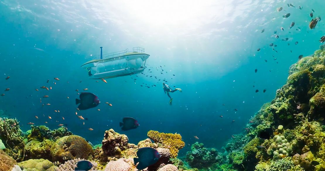 Vinpearl commissioned the sub after noting the increasing interest in adventure and experience-based holidays.
