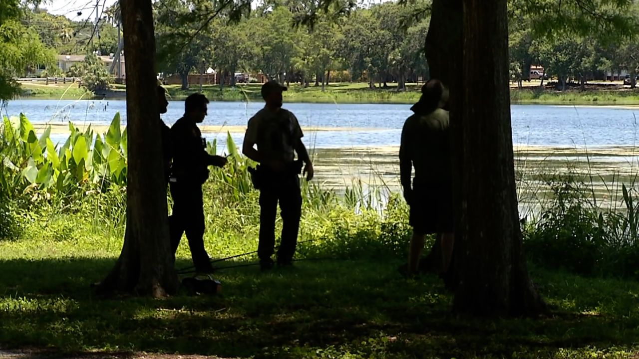 Authorities searched Taylor Lake in Largo, Florida, for an alligator that may have been involved in an attack.