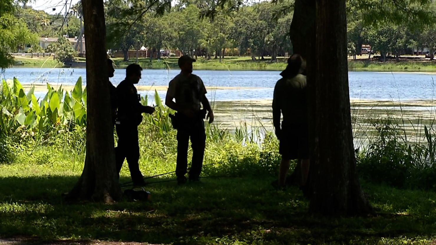 Authorities searched Taylor Lake in Largo, Florida, for an alligator that may have been involved in an attack.