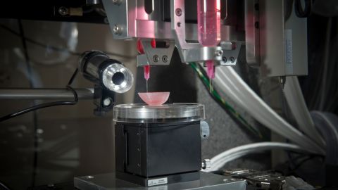 Une imprimante 3D ensemence différents types de cellules sur un échafaudage rénal au Wake Forest Institute for Regenerative Medicine. 