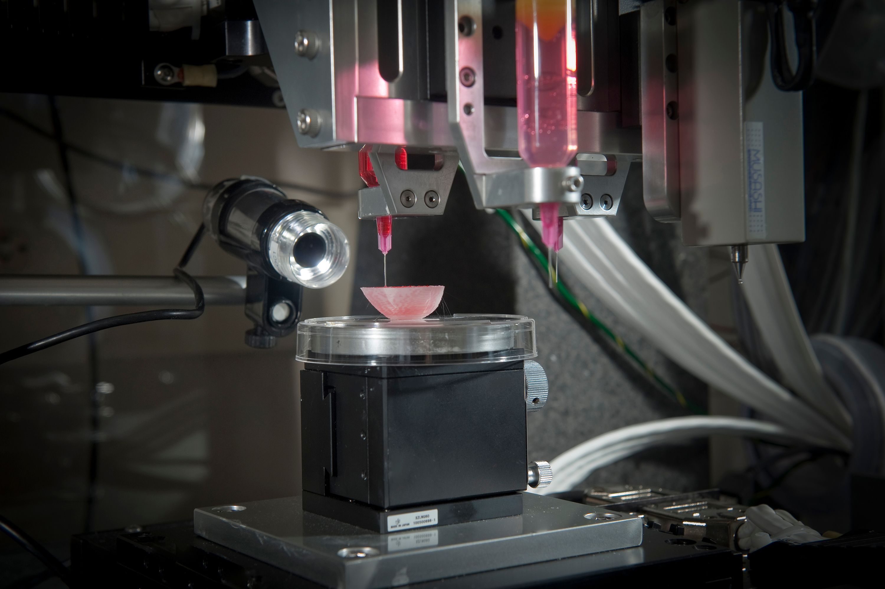 3D-printed organs: The future of transplantation